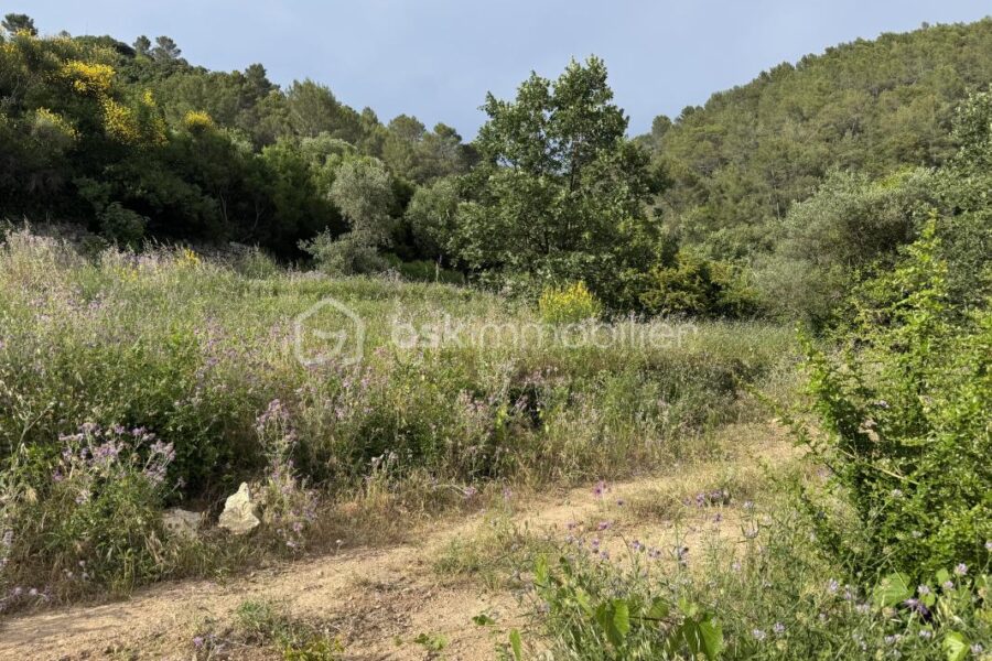 Terrain à vendre à Belgentier
