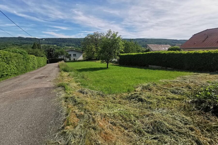 Terrain à vendre à Blamont