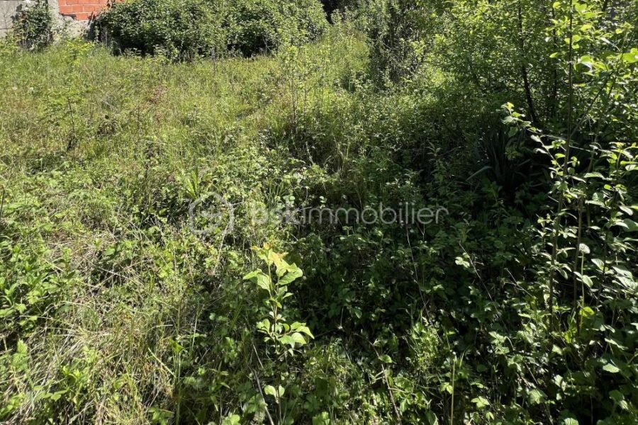 Terrain à vendre à Champigny sur marne