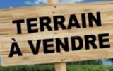 Terrain à vendre à Witry les reims — Vue nature — photo 2