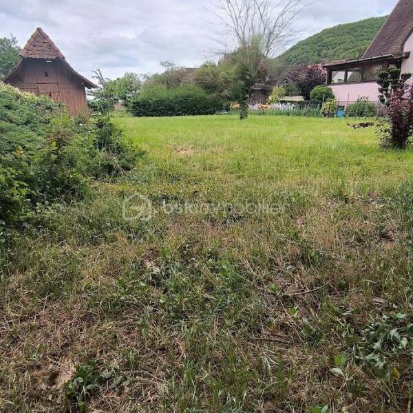 Terrain à vendre à Kaysersberg
