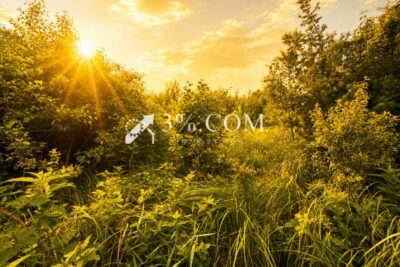 Terrain à vendre à Chazelles sur albe