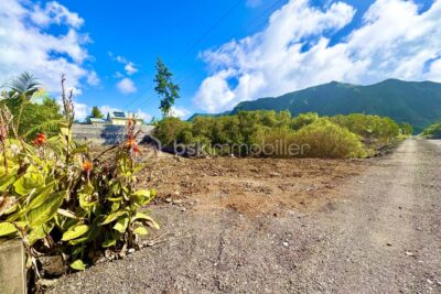 Terrain à vendre à La plaine des palmistes