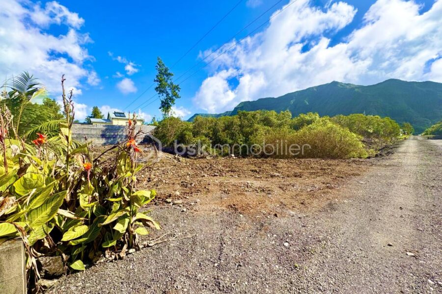 Terrain à vendre à La plaine des palmistes