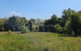 Terrain à vendre à Albias