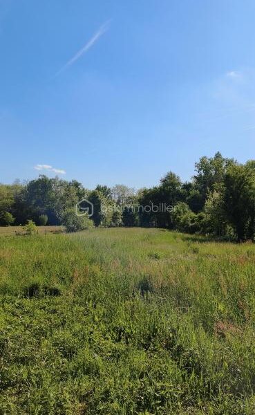 Terrain à vendre à Albias