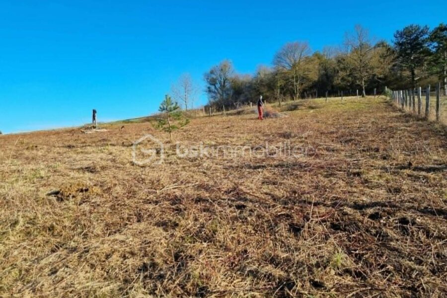 Terrain à vendre à Noe