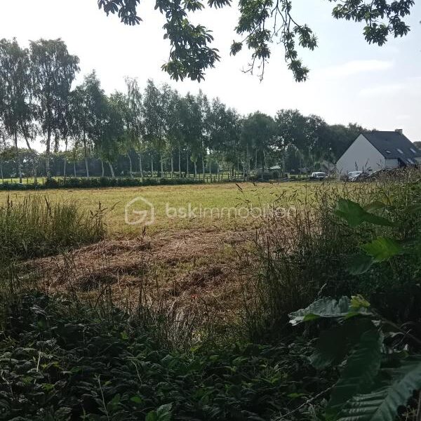 Terrain à vendre à La selle en cogles