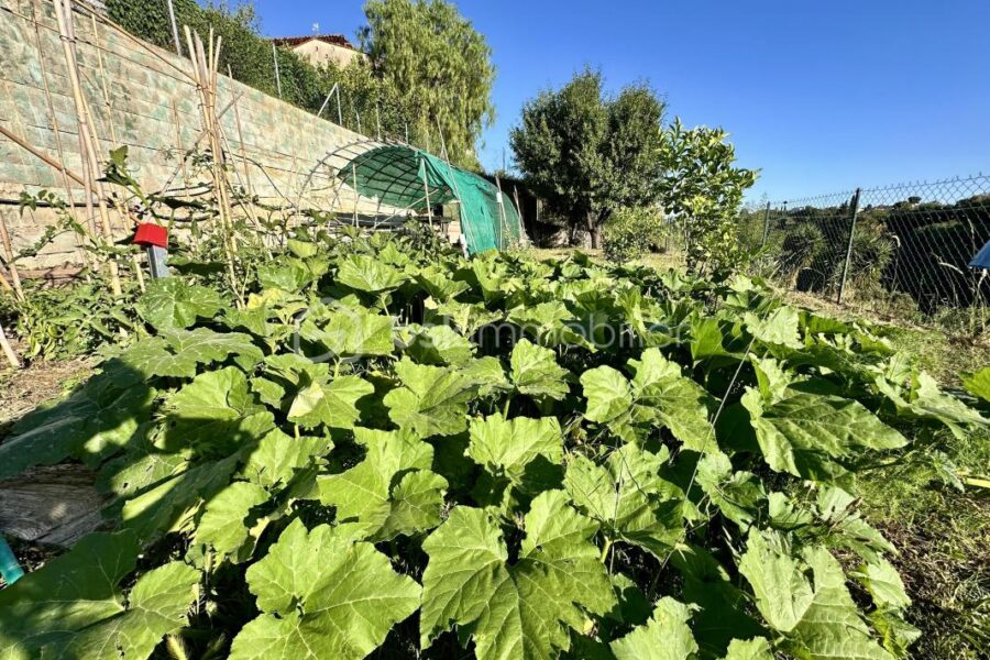 Maison à vendre à Cagnes sur mer