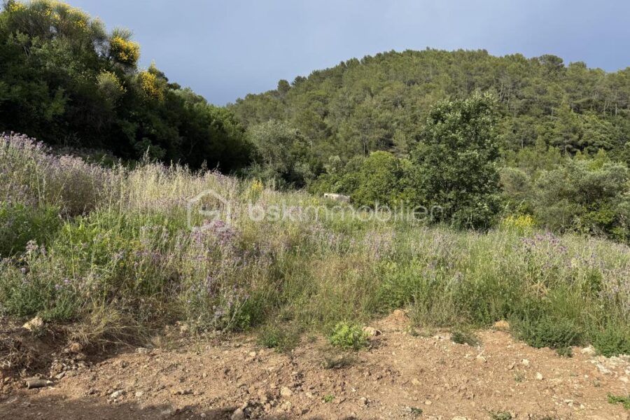 Terrain à vendre à Belgentier