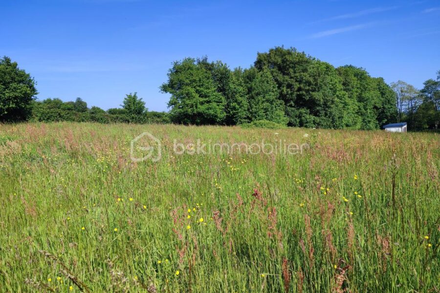 Terrain à vendre à Carrouges