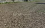 Terrain à vendre à Menevillers