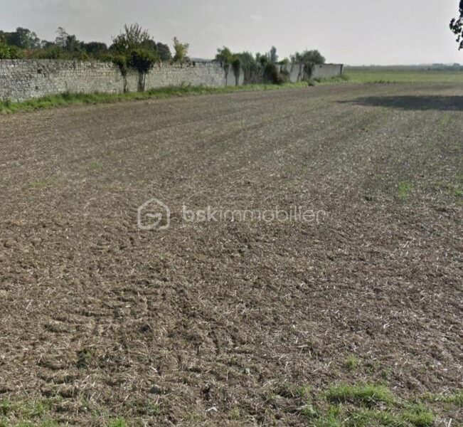 Terrain à vendre à Menevillers