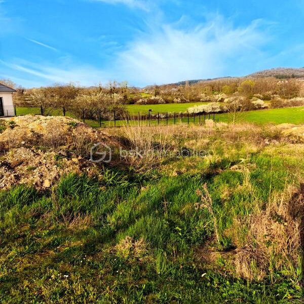 Terrain à vendre à Cesancey