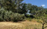 Terrain à vendre à Aubagne — Vue nature — photo 1