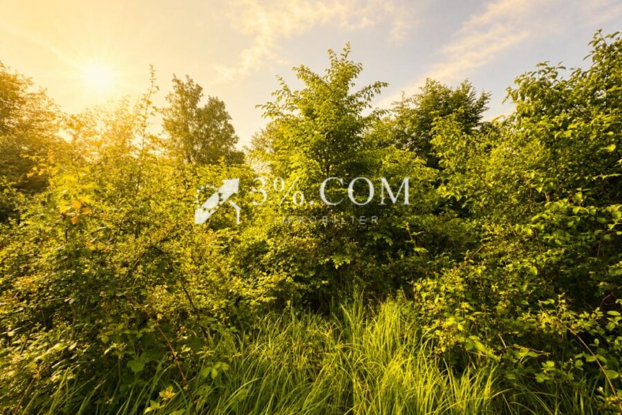 Terrain à vendre à Chazelles sur albe