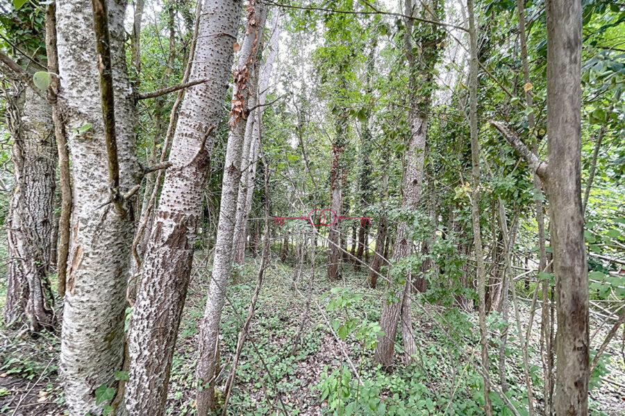 Terrain à vendre à Fismes