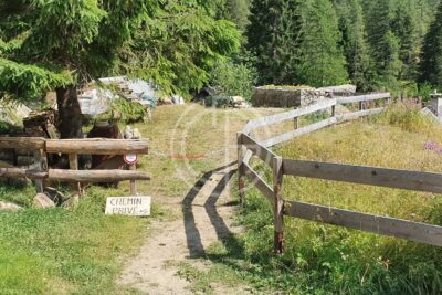 Terrain à vendre à Belvédère