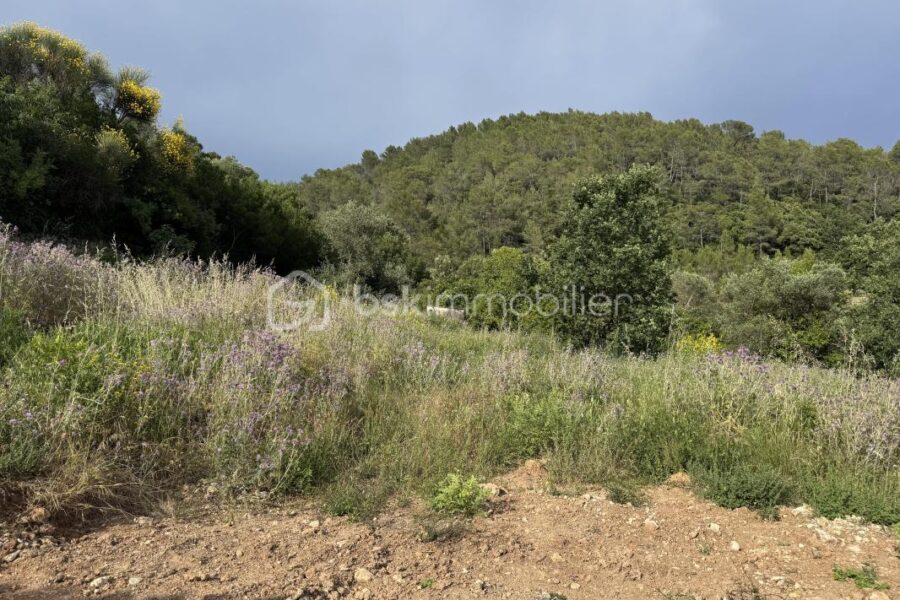 Terrain à vendre à Belgentier