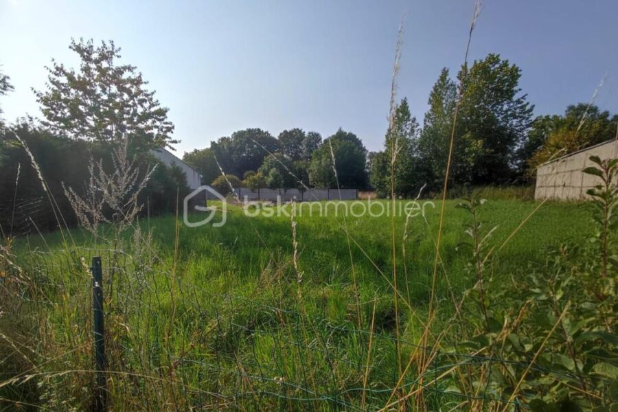 Terrain à vendre à Montmirail