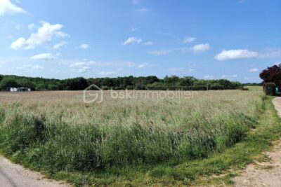 Terrain à vendre à Monnaie