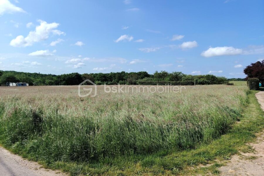 Terrain à vendre à Monnaie