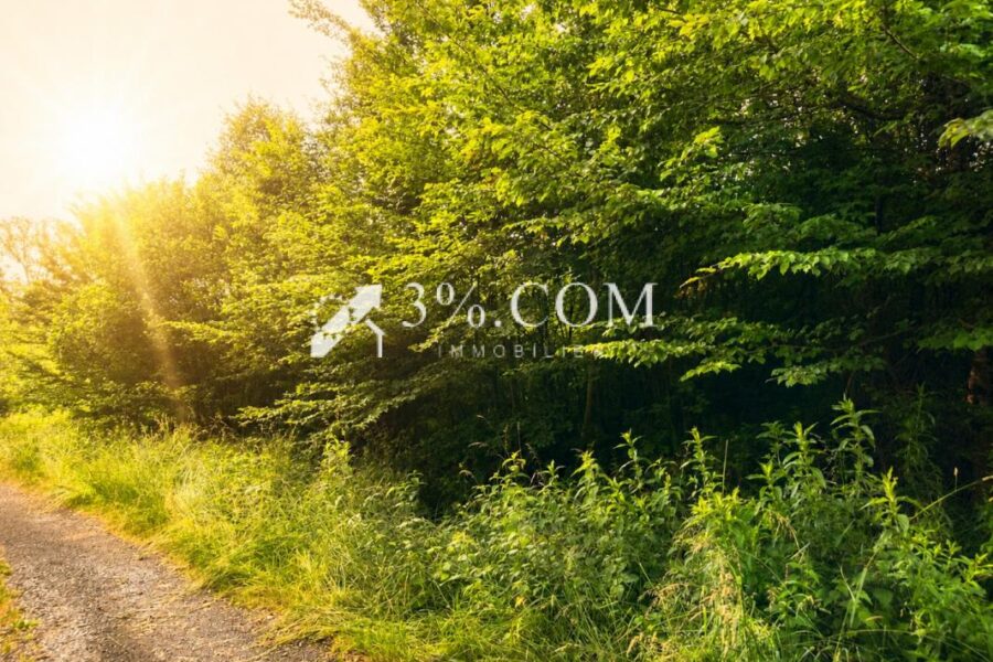 Terrain à vendre à Chazelles sur albe