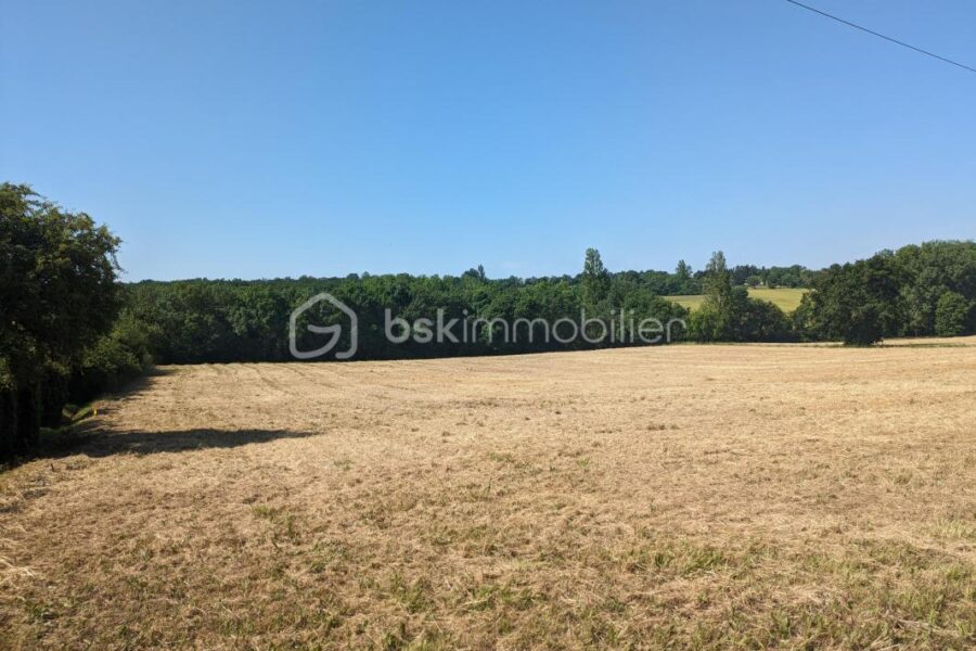 Terrain à vendre à Lahitte