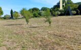 Terrain à vendre à Brissac