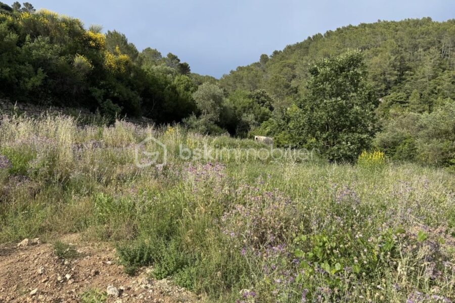 Terrain à vendre à Belgentier