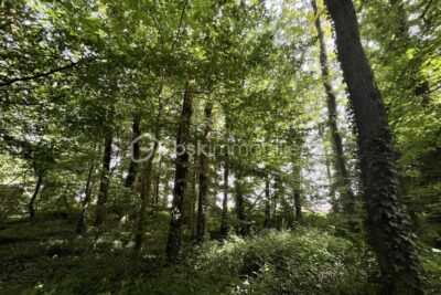 Terrain à vendre à Les brouzils