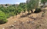 Terrain à vendre à Falicon — Vue montagne — photo 4
