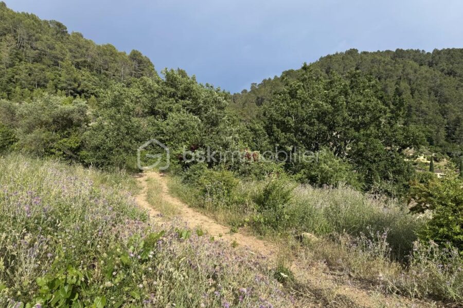 Terrain à vendre à Belgentier