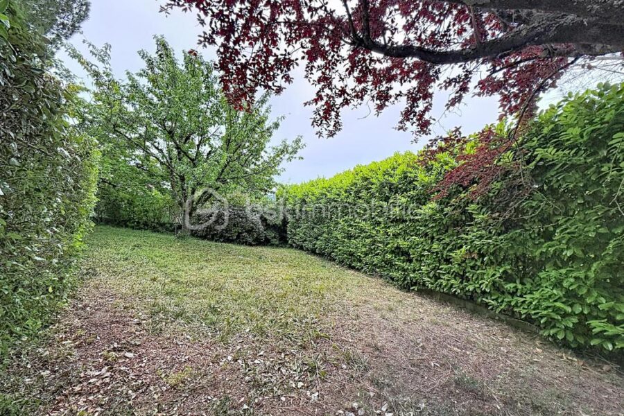 Maison à vendre à Montrabe