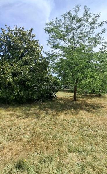 Terrain à vendre à Chateauneuf sur loire