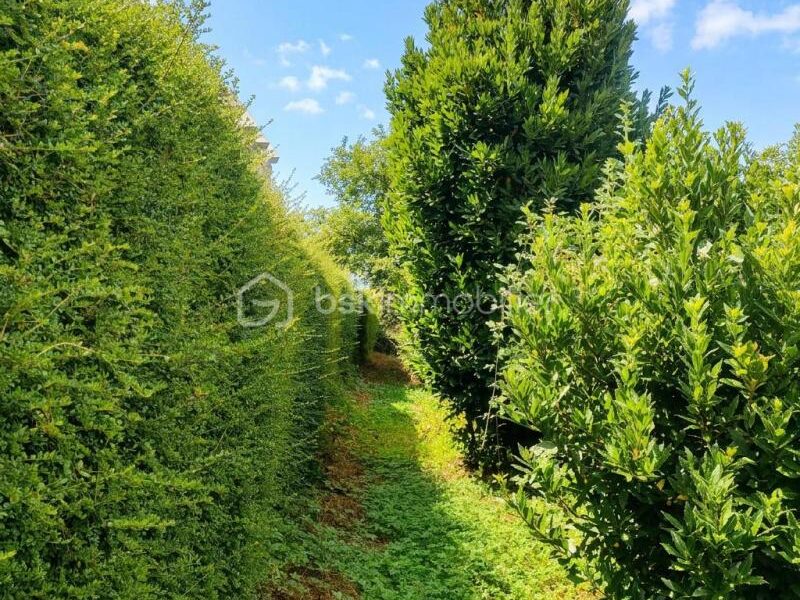 Terrain à vendre à Tremereuc — Vue nature — photo 6