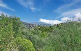 Terrain à vendre à Falicon — Vue montagne — photo 1