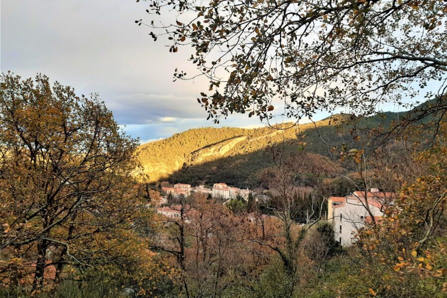 Terrain à vendre à Amelie les bains palalda