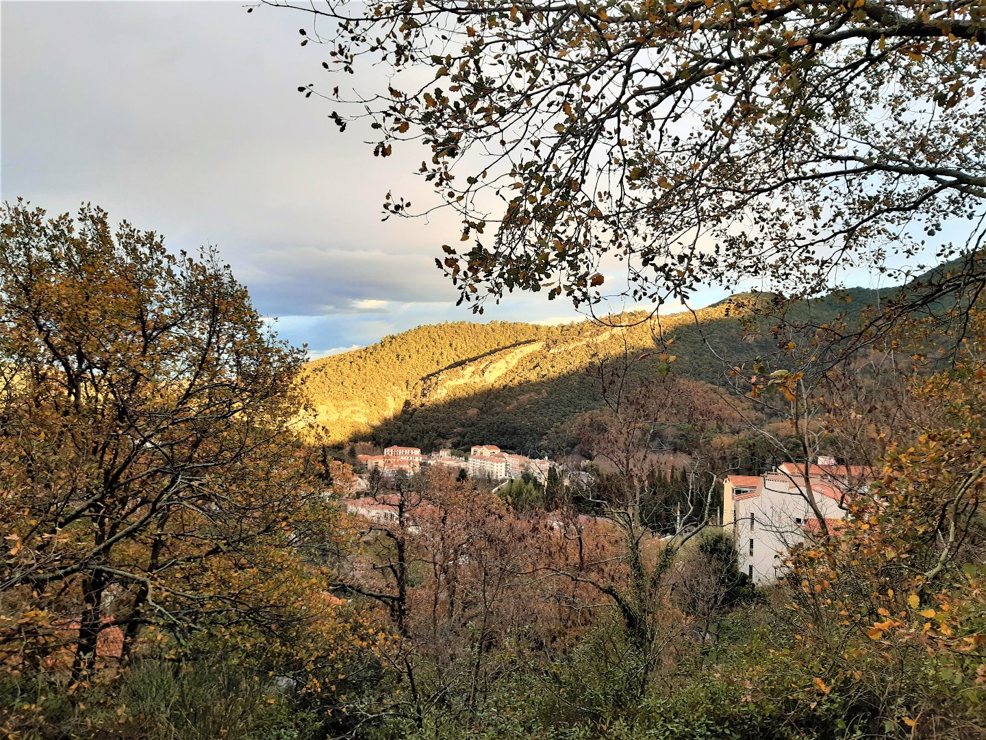 Terrain à vendre à Amelie les bains palalda