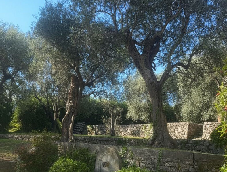 Maison à vendre à Grasse