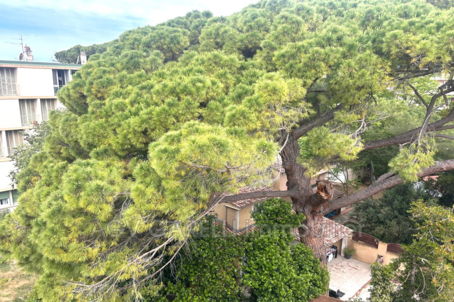 Appartement à vendre à Toulon