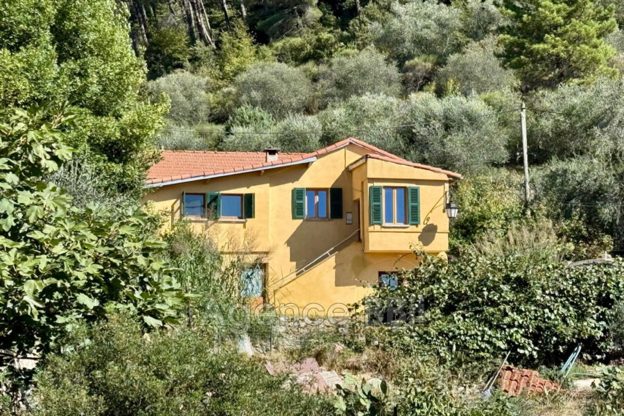 Maison à vendre à Castillon