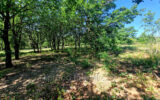 Terrain à vendre à Passa