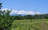 Terrain à vendre à Passa
