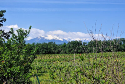 Terrain à vendre à Passa