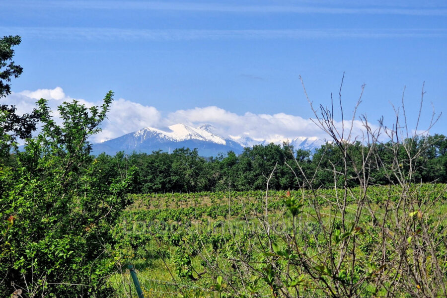 Terrain à vendre à Passa