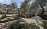Maison à louer à Saint-rémy-de-provence — Vue nature — photo 10