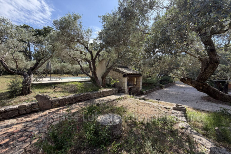 Maison à louer à Saint-rémy-de-provence — Vue nature — photo 10
