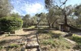 Maison à louer à Saint-rémy-de-provence — Vue nature — photo 1