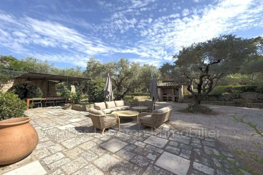 Maison à louer à Saint-rémy-de-provence — Vue nature — photo 5